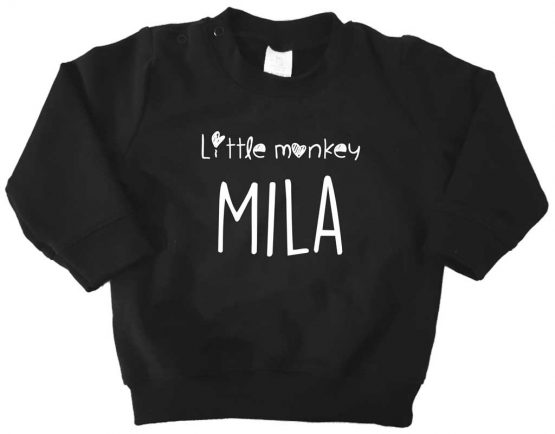 Sweater_little-monkey-naam2